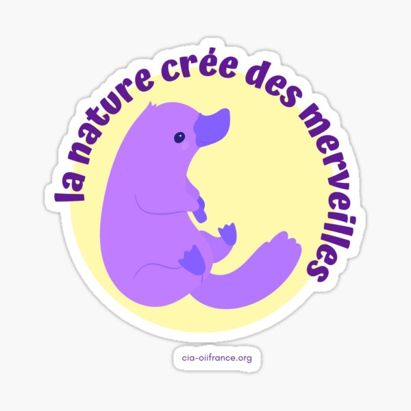 Platypus - Intersex Rights Sticker