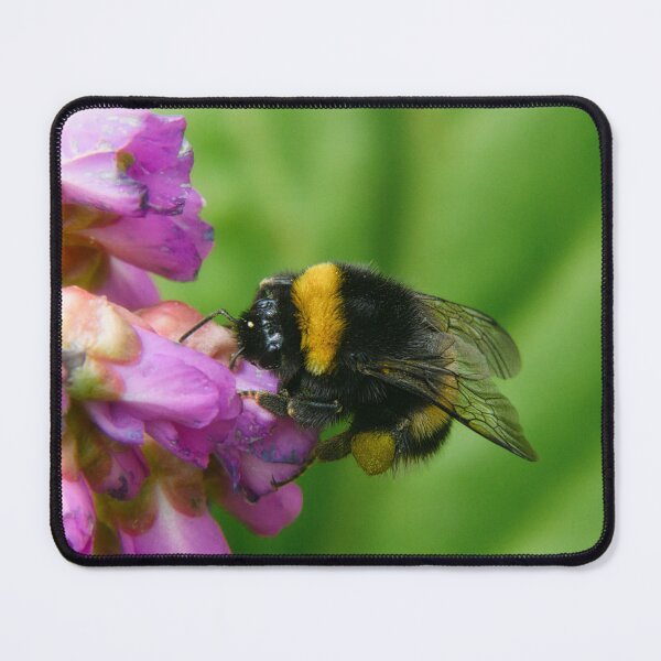 Item preview, Bumblebee designed and sold by Mikko Suhonen.
