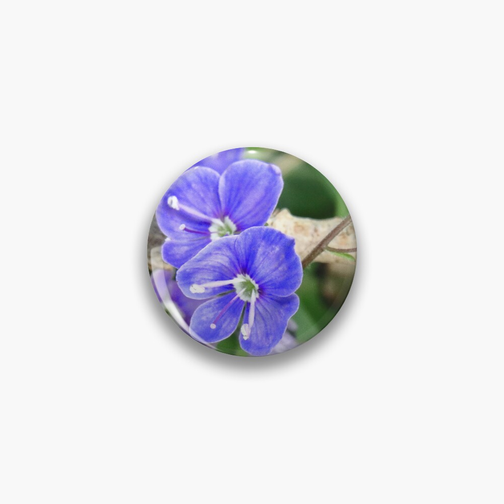 Speedwell Sticker