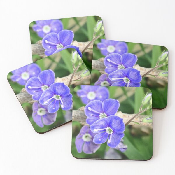 Item preview, Germander Speedwell designed and sold by Bird22Shot.
