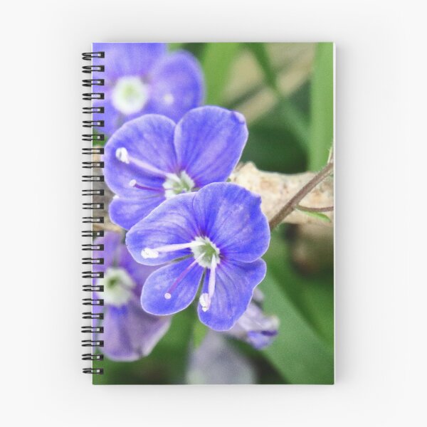 Item preview, Germander Speedwell designed and sold by Bird22Shot.