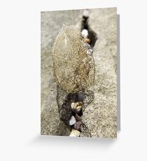 Leaf skeleton Greeting Card
