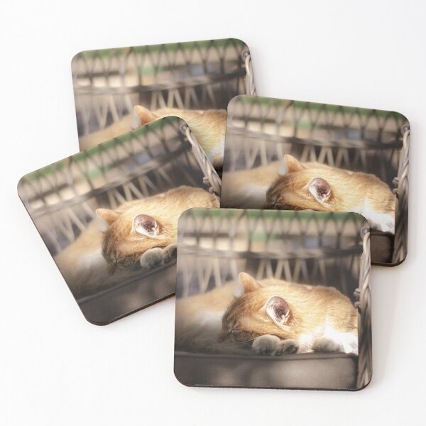 Item preview, Cozy Kitten Napping Peacefully designed and sold by paulinasvaphotography .