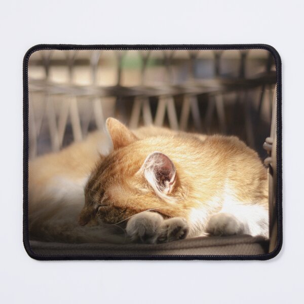 Item preview, Cozy Kitten Napping Peacefully designed and sold by paulinasvaphotography .