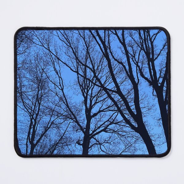 Item preview, Silhouettes of bare trees in the dark designed and sold by Photopat.
