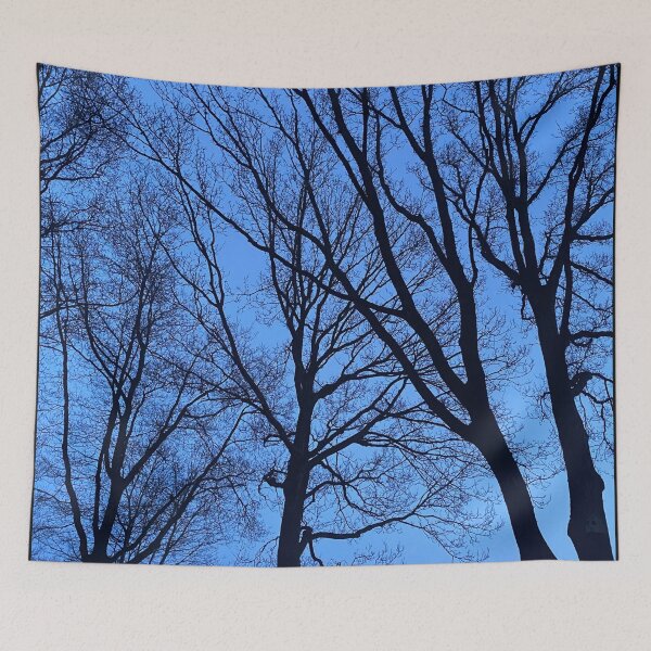 Item preview, Silhouettes of bare trees in the dark designed and sold by Photopat.
