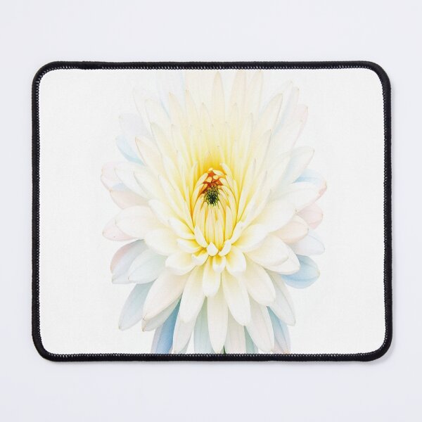 Item preview, A delicate watercolor painting of white chrysanthemum designed and sold by GentleMuse.
