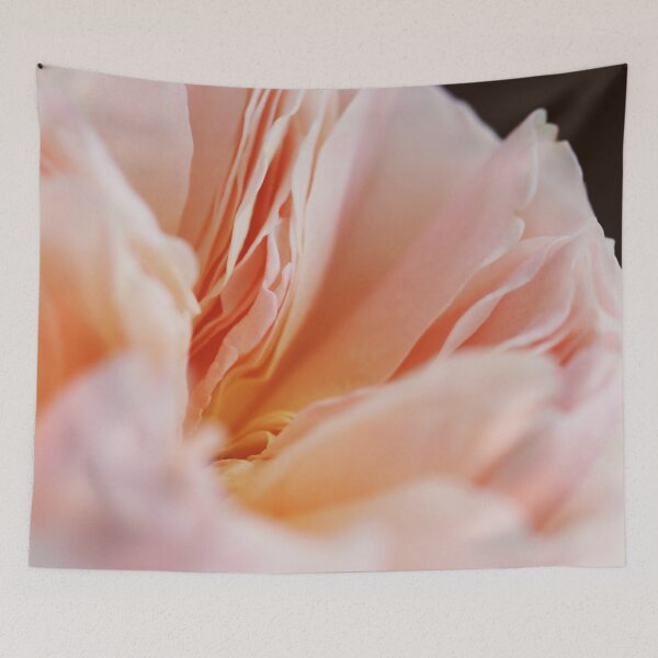 Item preview, English Rose #1 designed and sold by ALICIA BOCK.
