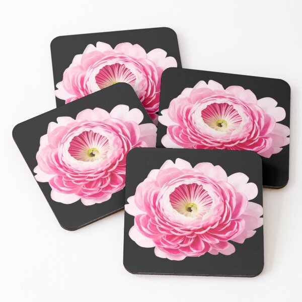 Item preview, Ranunculus Bloom Botanical Illustration designed and sold by bvdesignart.