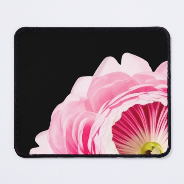 Item preview, Ranunculus Bloom Botanical Illustration designed and sold by bvdesignart.