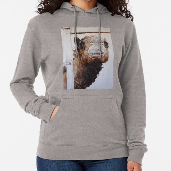 Betty and the Fence Lightweight Hoodie
