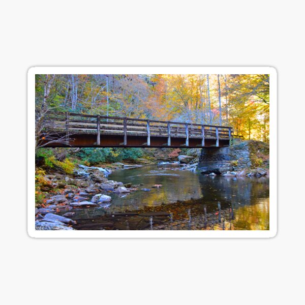 Item preview, The Bridge Over Deep Creek Great Smoky Mountains National Park designed and sold by LisaWootenPhoto.