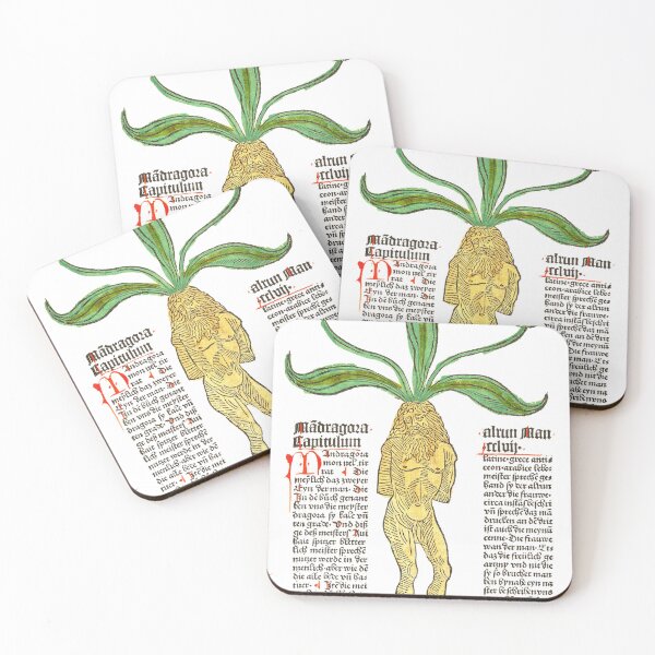 Item preview, Mandragora - Johannes von Cube  - Gart der Gesundheit designed and sold by ElNiro.