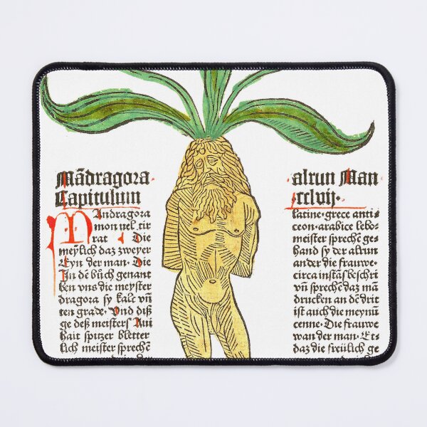 Item preview, Mandragora - Johannes von Cube  - Gart der Gesundheit designed and sold by ElNiro.