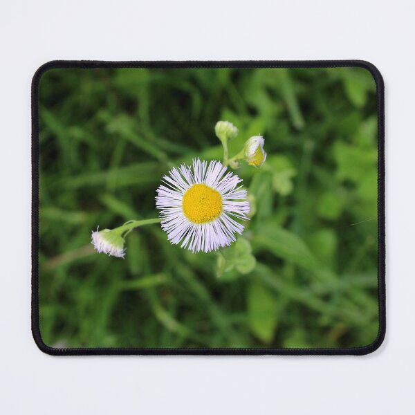 Item preview, Fleabane flower  designed and sold by McFleur's Lens.