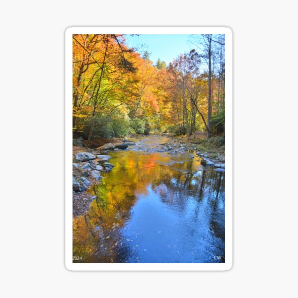 Item preview, Reflection On Autumn Deep Creek Great Smokey Mountains National Park Vertical designed and sold by LisaWootenPhoto.