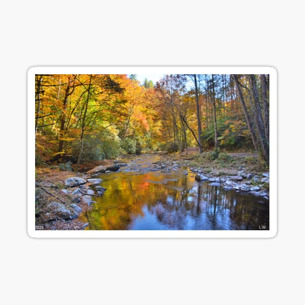 Item preview, Reflection On Autumn Deep Creek Great Smokey Mountains National Park  designed and sold by LisaWootenPhoto.