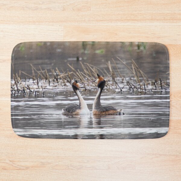 Item preview, Shall we dance. Great crested grebe designed and sold by Jouko Lehto Photography.