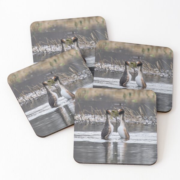 Item preview, Gifts for my love. Great crested grebe designed and sold by Jouko Lehto Photography.