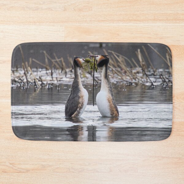 Item preview, Gifts for my love. Great crested grebe designed and sold by Jouko Lehto Photography.