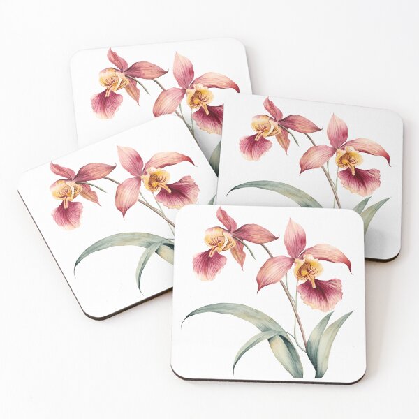 Item preview,  Phragmipedium Orchid watercolor sticker  designed and sold by P&U Fabric.