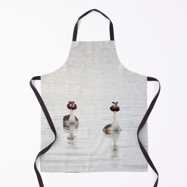 Item preview, Great crested grebe, Kuva-Lehto, Lehtokukka Photography, Lintu, Podiceps cristatus, bird, kevät, luonto, migration, muutto, nature, silkkiuikku, spring designed and sold by Jouko Lehto Photography.