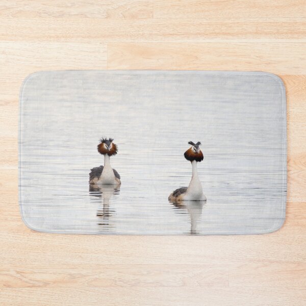 Item preview, Great crested grebe, Kuva-Lehto, Lehtokukka Photography, Lintu, Podiceps cristatus, bird, kevät, luonto, migration, muutto, nature, silkkiuikku, spring designed and sold by Jouko Lehto Photography.