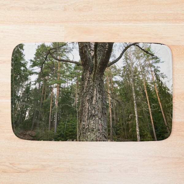 Item preview, The birch of the old graveyard designed and sold by Jouko Lehto Photography.
