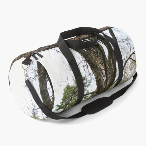 Item preview, The birch of the old graveyard designed and sold by Jouko Lehto Photography.
