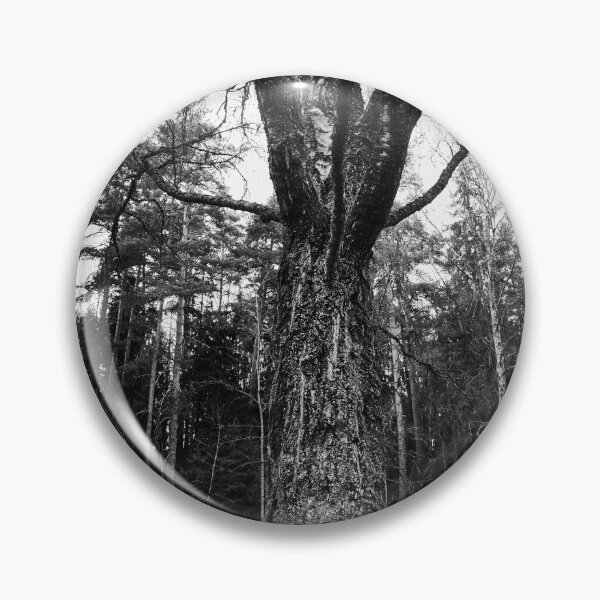 Artikelvorschau, Kuva-Lehto, Lehtokukka Fotografie, Landschaft, Luonto, Maisema, Natur entworfen und verkauft von Jouko Lehto Photography.
