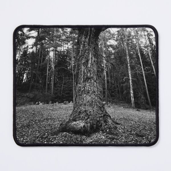Artikelvorschau, Kuva-Lehto, Lehtokukka Fotografie, Landschaft, Luonto, Maisema, Natur entworfen und verkauft von Jouko Lehto Photography.