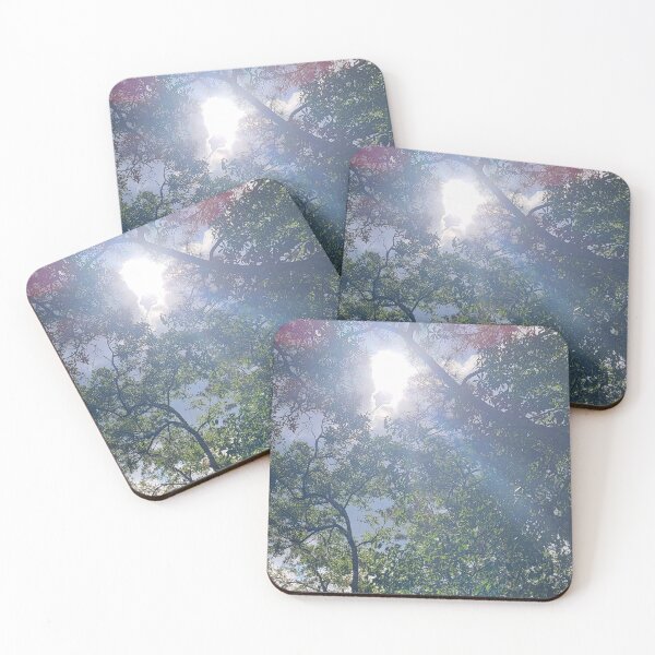 Item preview, Sunlight through the trees designed and sold by Jmb67.