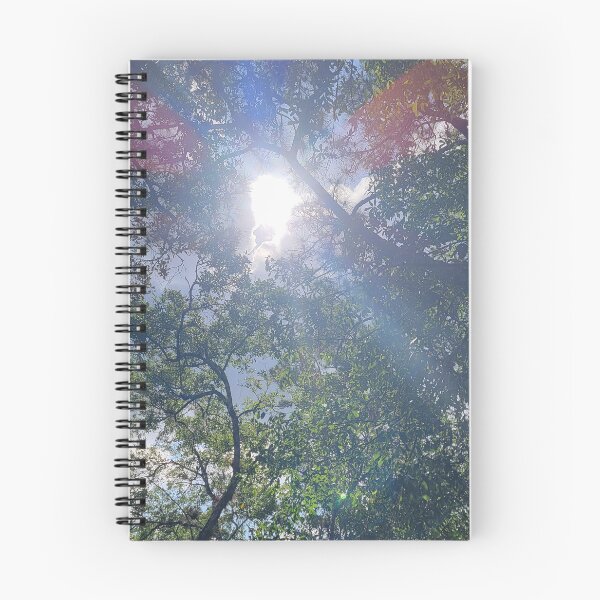 Item preview, Sunlight through the trees designed and sold by Jmb67.