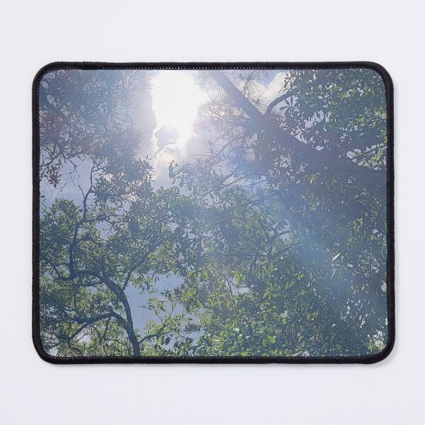 Item preview, Sunlight through the trees designed and sold by Jmb67.