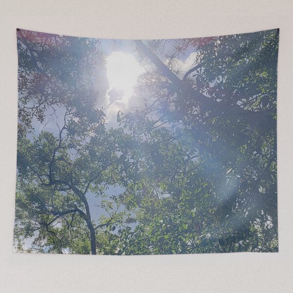 Item preview, Sunlight through the trees designed and sold by Jmb67.