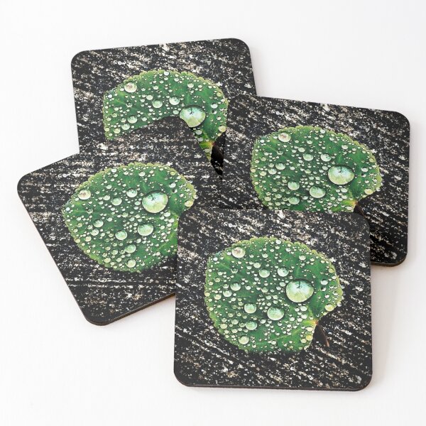 Item preview, Magnifico designed and sold by Steve Walser.