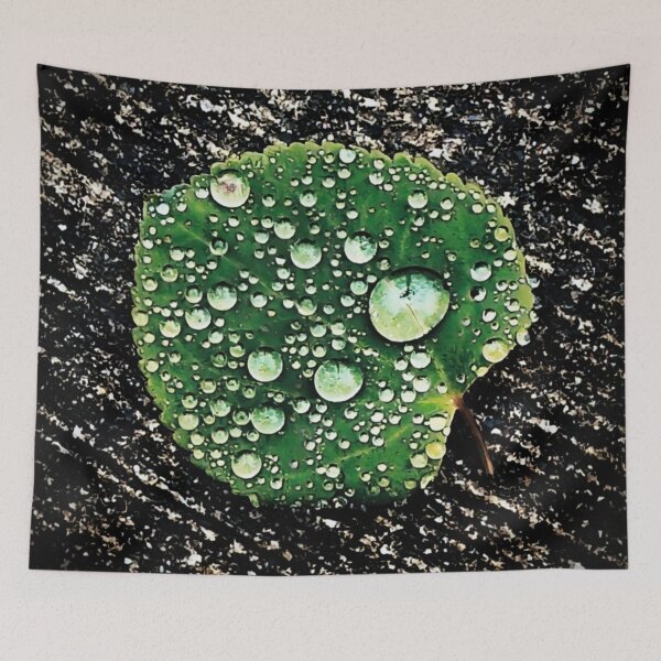Item preview, Magnifico designed and sold by Steve Walser.