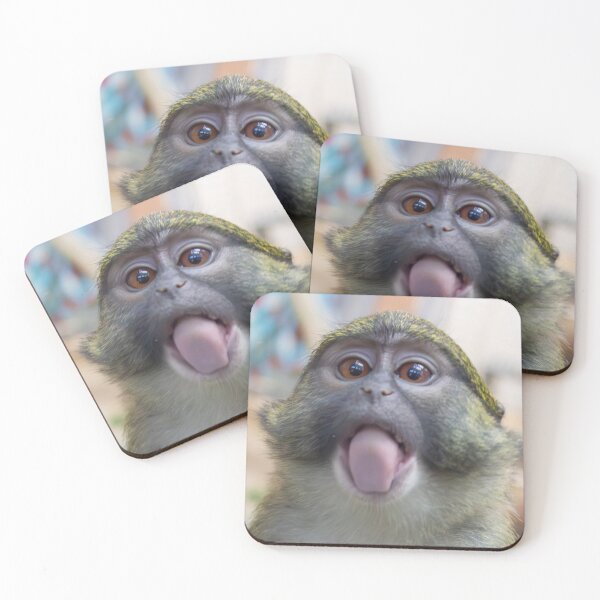 Item preview, Swamp Monkey at the Smithsonian's National Zoo designed and sold by Zoo and Nature Photography by Karie.