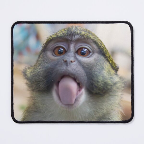 Item preview, Swamp Monkey at the Smithsonian's National Zoo designed and sold by Zoo and Nature Photography by Karie.