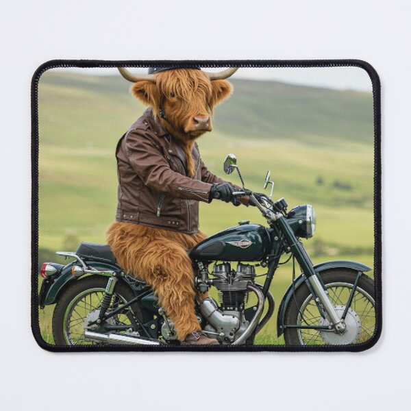 Item preview, Highland coo on motorbike designed and sold by Md1982.