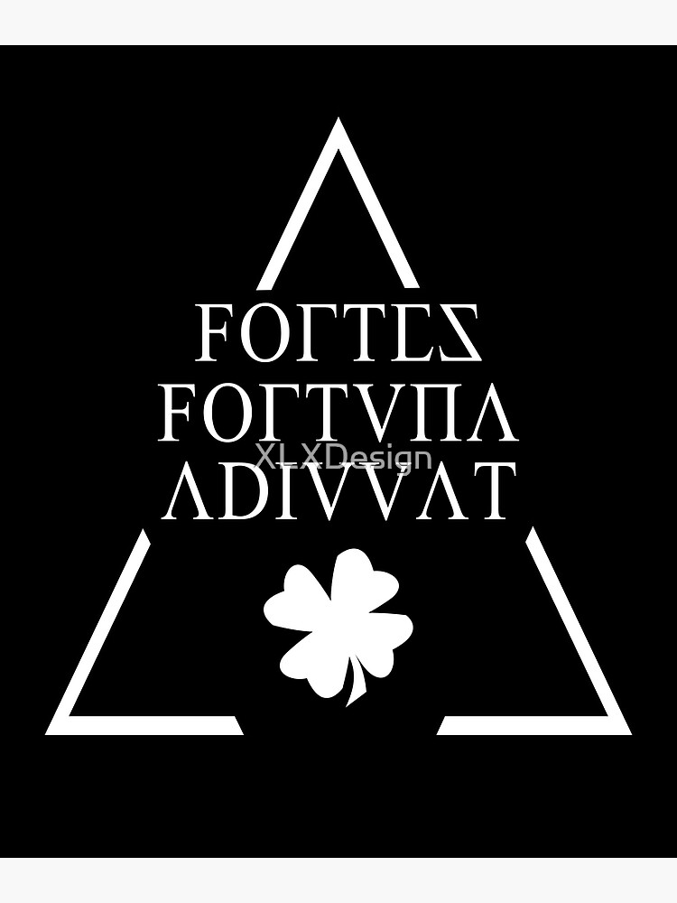 "FORTES FORTUNA ADIUVAT-Latin Quotes Shirt - smart aleck T-Shirt - nerd