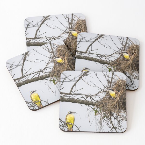 Item preview, Great Kiskadees Nest Building Time designed and sold by Debra Martz.