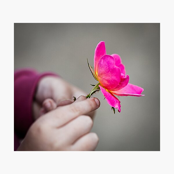 Item preview, Child Holding Rose in Hands designed and sold by jmfnrd.