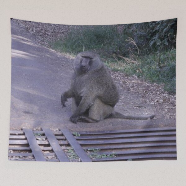 Item preview, A cheeky monkey goofing at Nairobi National Park! designed and sold by Jamesk82.
