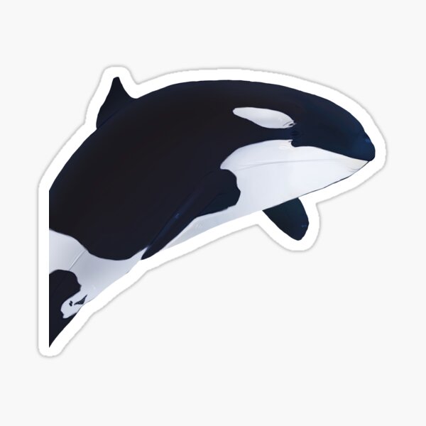 Item preview, Orca artwork designed and sold by Ciphed.