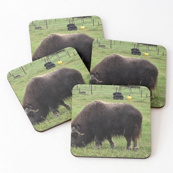 Item preview, Musk Ox Farm designed and sold by Amanda Huggins.