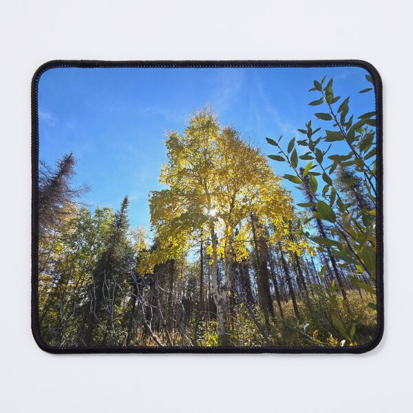 Item preview, A Hike through the Aspen designed and sold by Amanda Huggins.