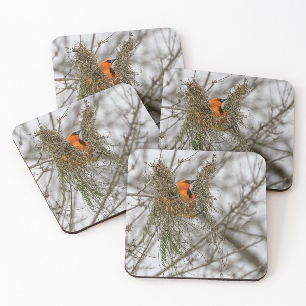 Item preview, Altamira Oriole Protecting the Nest designed and sold by Debra Martz.