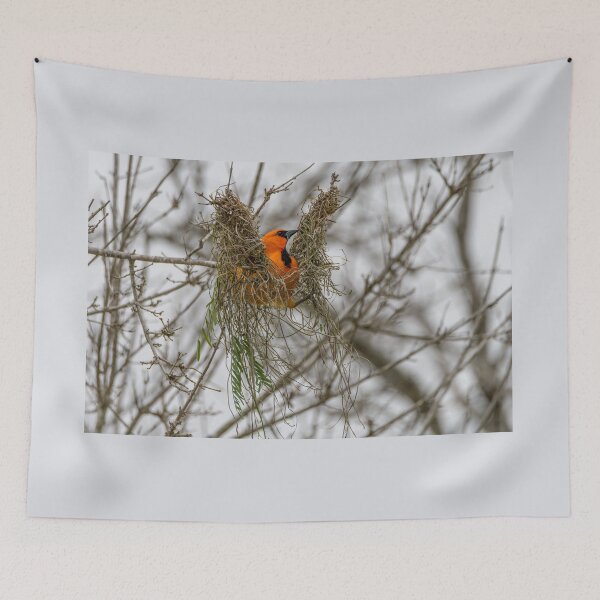 Item preview, Altamira Oriole Protecting the Nest designed and sold by Debra Martz.