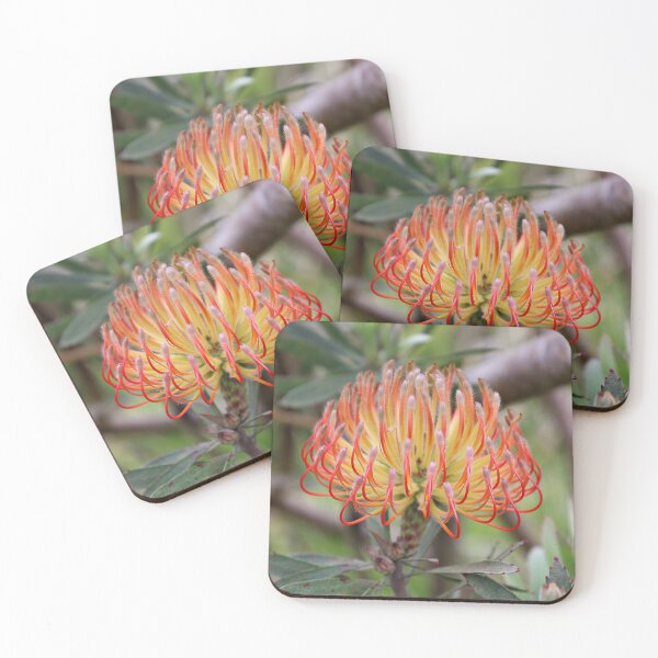 Item preview, Pincushion Protea in the Garden designed and sold by Martha Sherman.